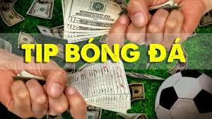 tip1