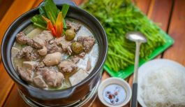 Tổng hợp các món ngon từ vịt dễ làm tại nhà Tổng hợp các món ngon từ vịt dễ làm tại nhà