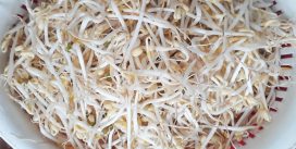 Tổng hợp các món ăn từ giá đỗ giúp giảm cân nhanh chóng Tổng hợp các món ăn từ giá đỗ giúp giảm cân nhanh chóng