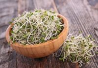 Gợi ý các món ăn từ giá đỗ giúp thanh nhiệt, giải độc cho gia đình